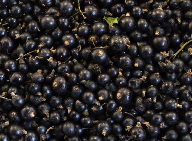 Siyah yaban mersini makro arka plan