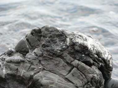 Taş deniz suyu arka plan üzerinde gri