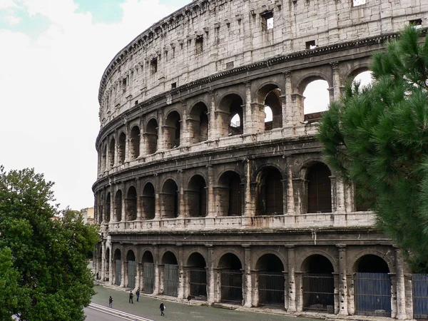 콜로세움 (Colosseum) 로마 (이탈리아)와 나무에서가 건물 — 스톡 사진