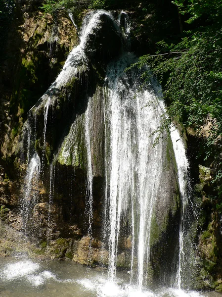 Гірський водоспад і річка в лісі — стокове фото