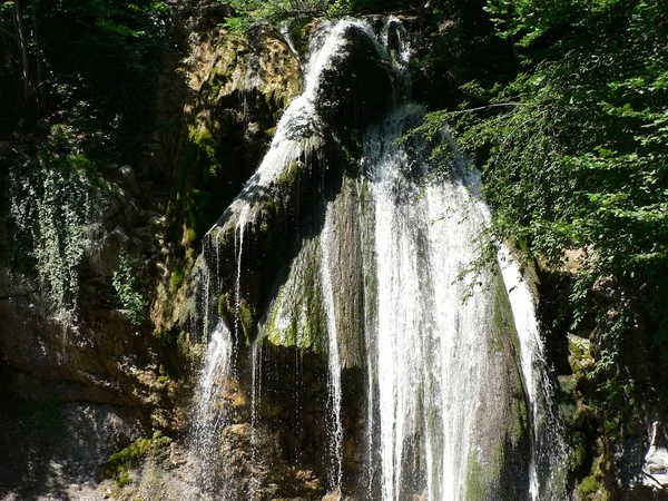 Gebirgswasserfall und Fluss im Wald — Stockfoto