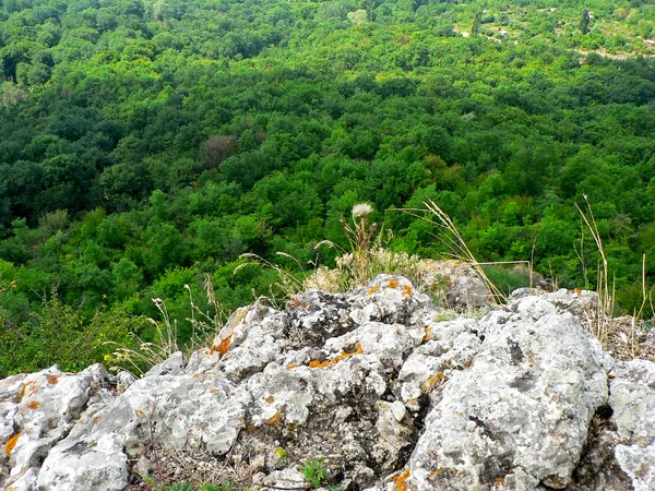 Rock och skog i bergen och mulen himmel — Stockfoto