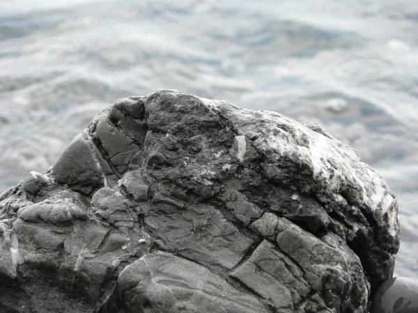 Taş deniz suyu arka plan üzerinde gri