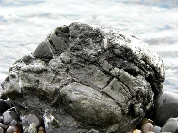 Taş deniz suyu arka plan üzerinde gri