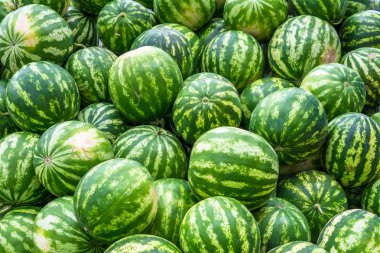 Parlak yeşil karpuz yığını üzerinden ekran koruyucu