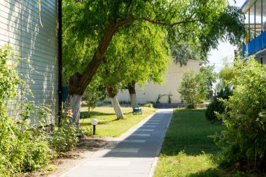 Çalılar, ağaçlar, fenerler ve çiçek döşeli sokak