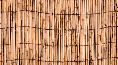 İlişkili bambu turuncu duvar dokusu