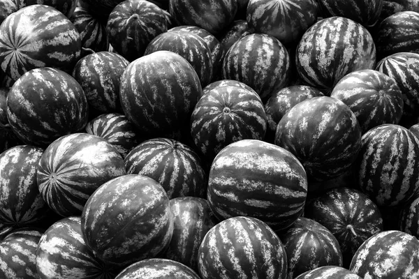 Skärmsläckare från högen av vattenmeloner svart och vitt — Stockfoto