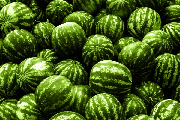 Screensaver from heap of green watermelons filtered — Stock Photo, Image
