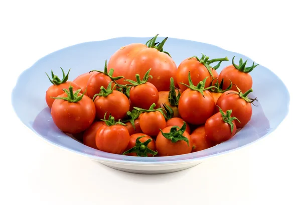 Grande assiette bleue aux tomates oranges isolées sur blanc — Photo