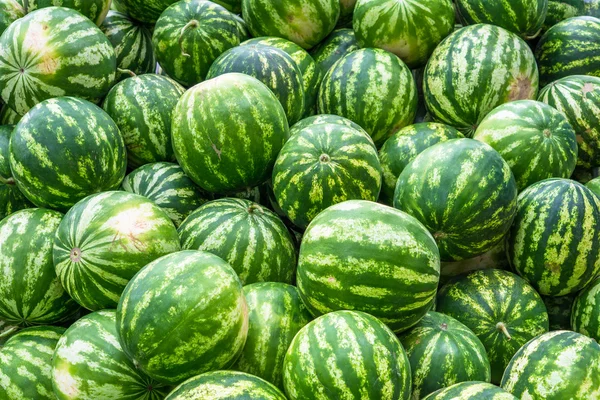Skärmsläckare från högen av ljusa gröna vattenmeloner — Stockfoto