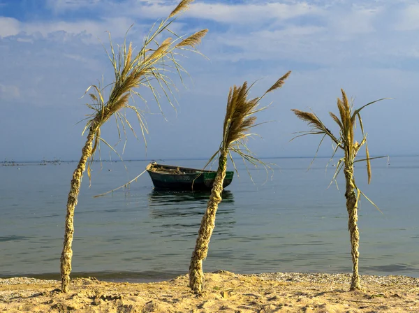 Bateau au mouillage en mer et trois palmiers décoratifs — Photo