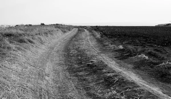 Dirt road trail in mountains black and white