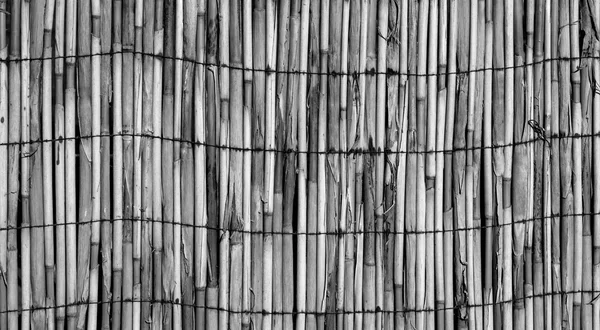 Textura de parede de bambu ligado preto e branco — Fotografia de Stock