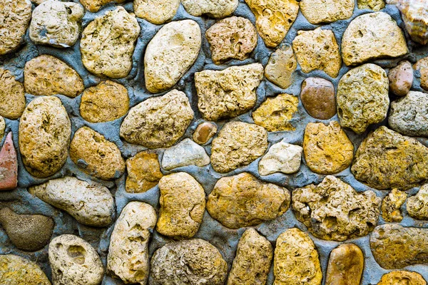 Textura de parede de coquina de pedra amarela em cimento — Fotografia de Stock