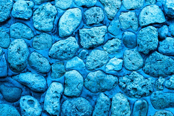 Textura kamene coquina zdi v cementu — Stock fotografie