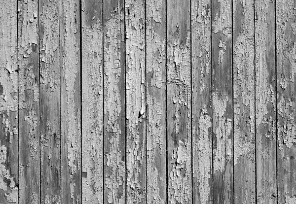 Textura de turquesa velha pintada cerca de madeira preto e branco — Fotografia de Stock