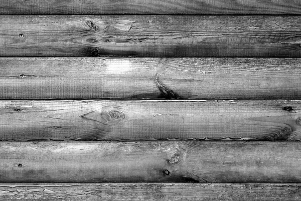 Log house textura de madeira de faia com martelado um pregos preto e branco — Fotografia de Stock