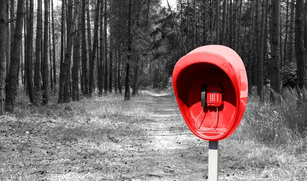 Pilar com telefone público vermelho definido na floresta de pinheiros preto e branco estilo — Fotografia de Stock