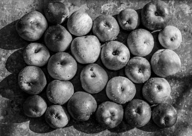 Taze elma eski metal masa siyah beyaz zıt gölgeler ile aldı