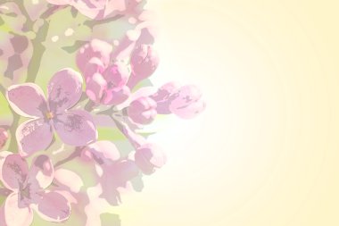 Tatlı renk petal şube ile bahar eflatun çiçekler romantik degrade arka plan suluboya tarz sarı gül