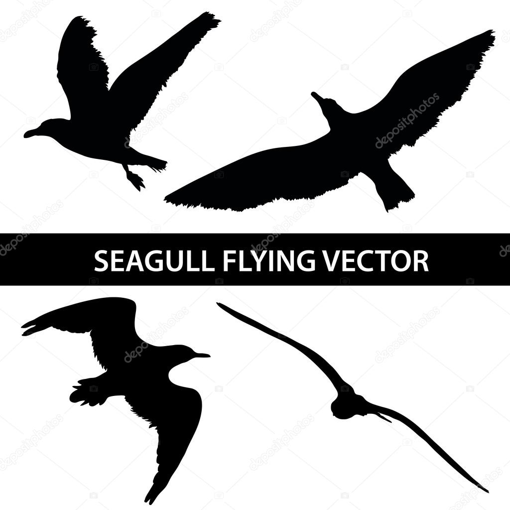 Set of silhouette seagull flying 4 in 1 on white background. Vector illustration