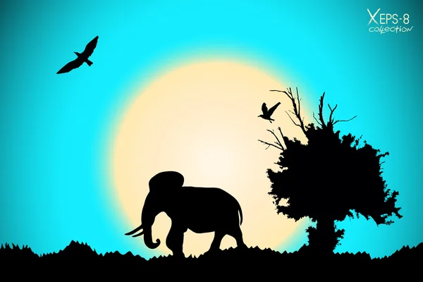 Схід сонця в джунглі з старе дерево, птахів та слон. Вектор фону — стоковий вектор