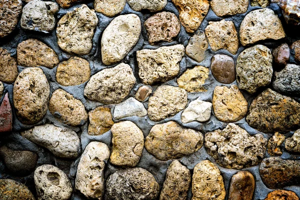 Texture of stone coquina wall in cement high contrasted with vignetting effect — 스톡 사진