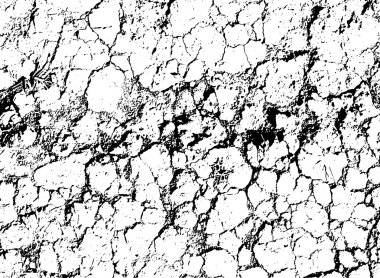 Vector texture of black and white withered earth with cracks. Vector illustration