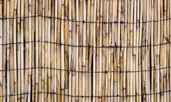 Vector texture of wall of bound bamboo. Vector illustration — Stok Vektör