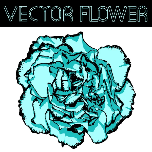 Vector clove flower with cyan petals and black edging. Vector illustration — Stock Vector
