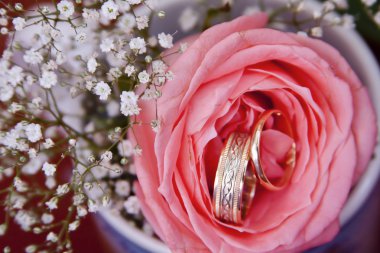 Alyans süslemeleri arka plan ile gül çiçek