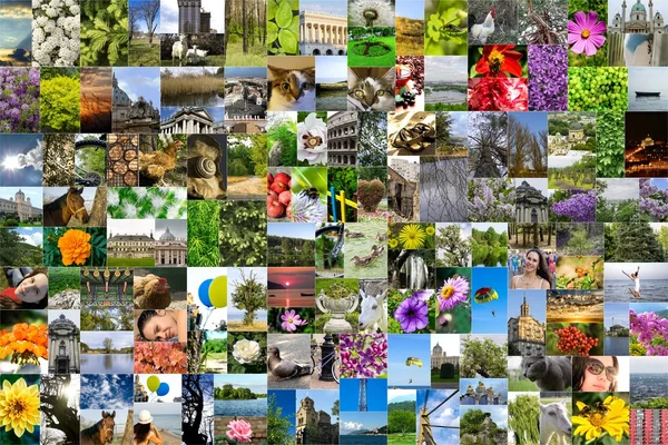 Mosaïque symétrique mélanger collage de 200 photos de style de vie, personnes, différents endroits, paysages, fleurs, insectes, objets, sport et animaux pris par moi-même pendant les voyages en Europe — Photo