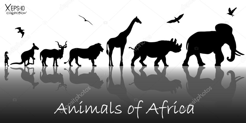 Silhouettes of animals of Africa: meerkat, kangaroo, kudu antelope, lion, giraffe, rhino, elephant and birds with reflections background. Vector illustration