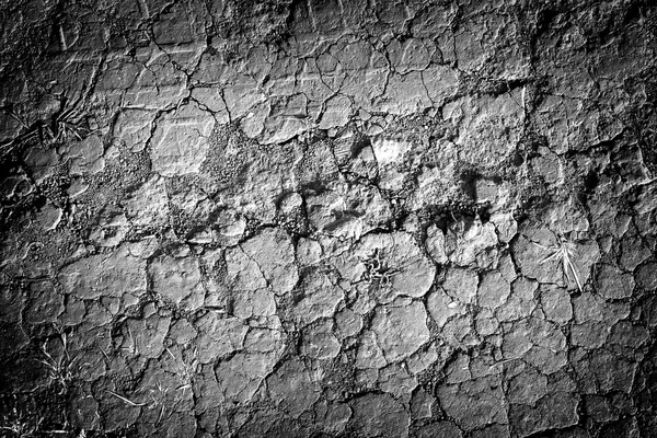 Текстура сухої землі з тріщинами сильно контрастує з ефектом віньєтування чорно-білим — стокове фото