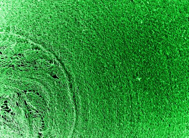 Yeşil makro dünya doku arka plan. Rulo kağıt makro