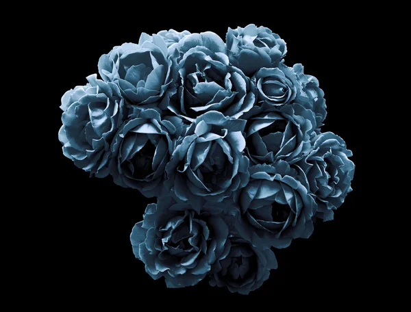 Surreal dark chrome bush of strange rose flowers macro isolated on black — Stock Photo, Image