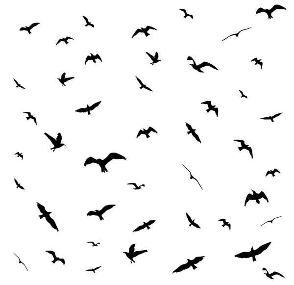 Beyaz arka plan üzerinde uçan kuş silhouettes. Vektör çizim