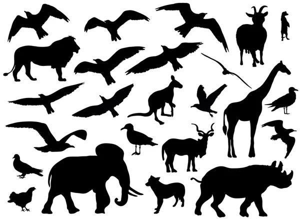 Set of animals silhouettes on white background. Vector illustration — Stock Vector