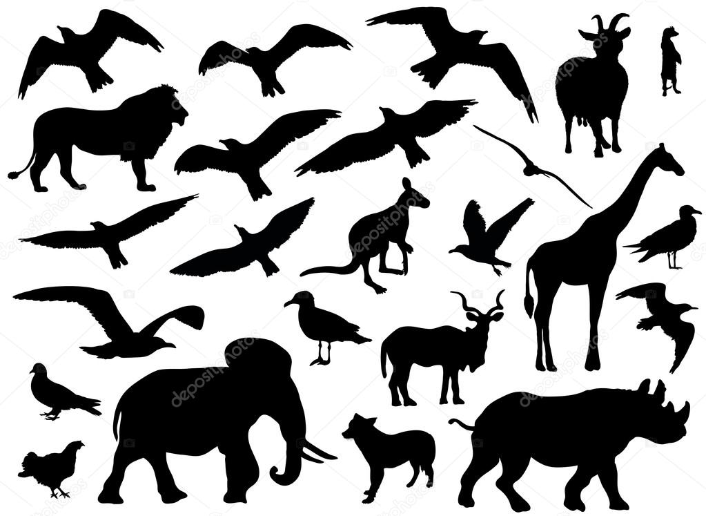 Set of animals silhouettes on white background. Vector illustration ...