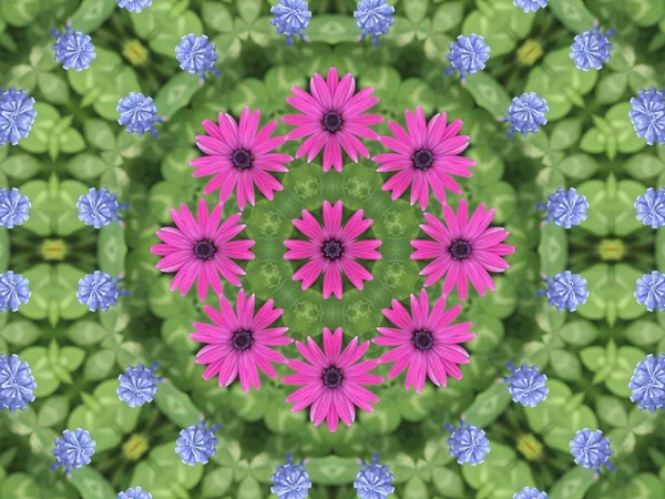 Kalejdoskop kwiat — Zdjęcie stockowe
