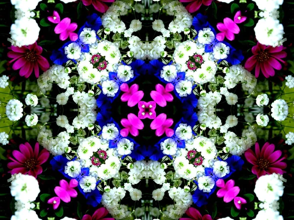 Kaleidoscope Flower — Stock Photo, Image