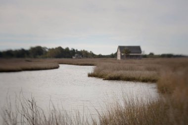 Yalnız bir ev, Kuzey Carolina 'da bir ada üzerinde sazlık ve dingin bir derede bulunur..