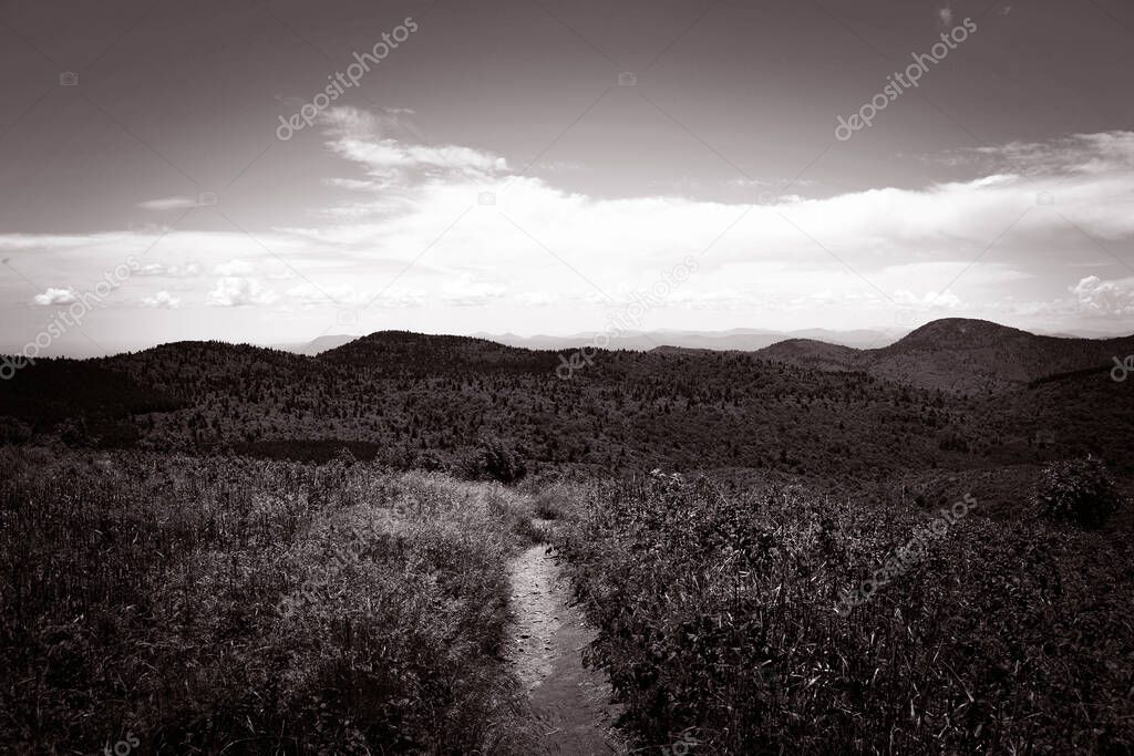 Path at amountain peak in the Blue Ridge Mountains of North Carolina