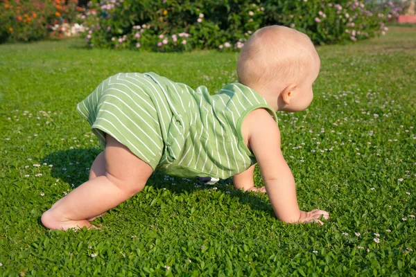 1歳の少年が家の裏庭の緑の芝生の上を這う 第一歩だ 子供の身長だ 子供の世話だ 歩くのが難しい — ストック写真