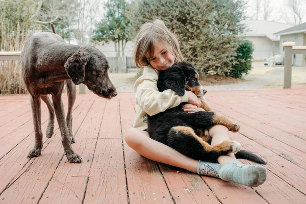 Adorável Menina Bonito Sentado Com Cães Domésticos Abraçando Filhote Cachorro — Fotografia de Stock