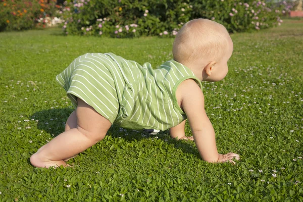 Bayi merangkak di rumput — Stok Foto