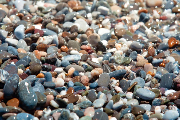 Deniz köpüğü içinde taşlar — Stok fotoğraf