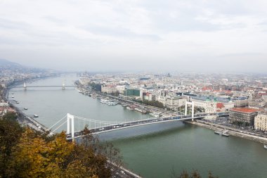 Kırmızı Tekstil zemin üzerine Çin yelpaze