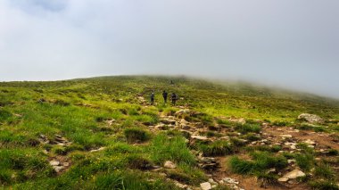 Turistler Karpatlar, Ukrayna Hoverla tepesine tırmanmak